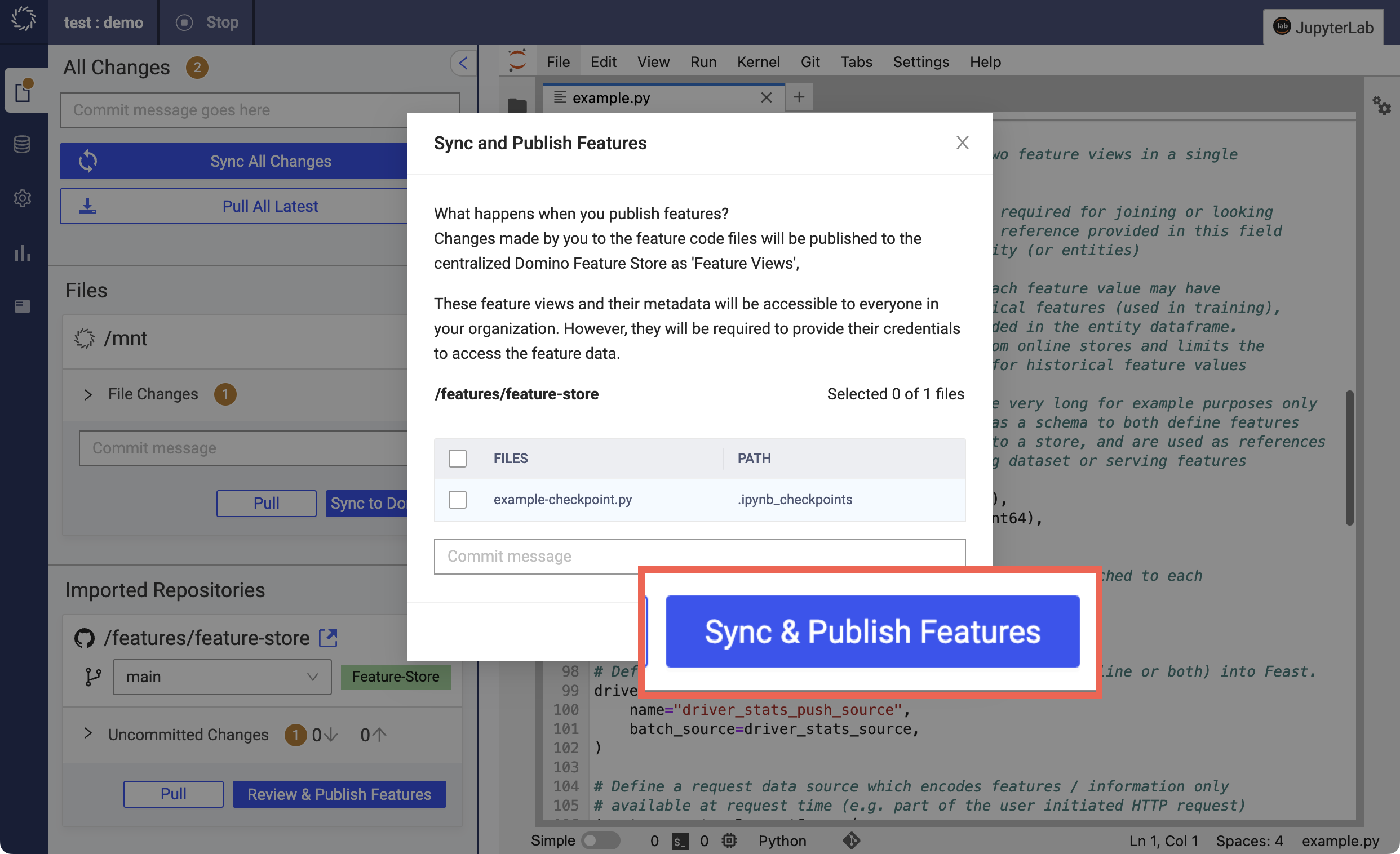 screenshot of feature store sync & publish features