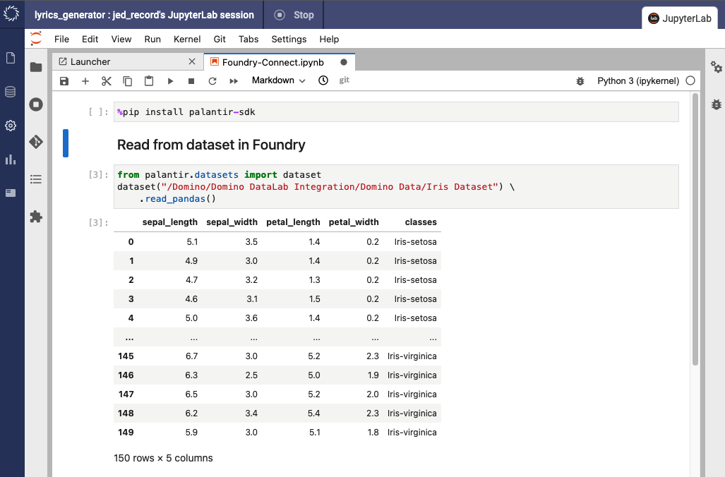 Screenshot of a Jupyter notebook accessing a Palantir dataset and using the Palantir SDK